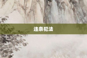 违条犯法【违条犯法的意思】- 成语大全