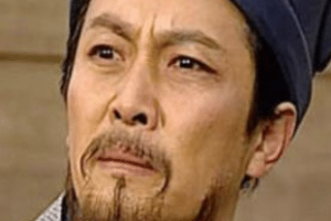 三国时期魏延的真是能力怎么样？_三国历史 菊江历史网