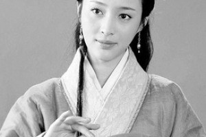 潘金莲简介_潘金莲的儿子_潘金莲的故事_潘金莲怎么死的 菊江历史网