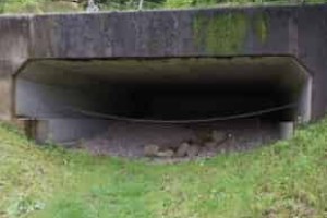 国造是什么，国造简介_世界古代史 菊江历史网