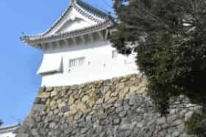 稻叶山城之战简介，稻叶山城之战任务 菊江历史网