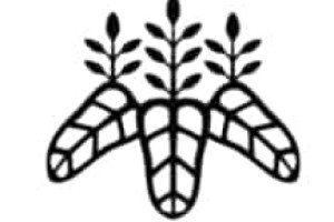 太阁检地名词解释，太阁检地日本人口 菊江历史网