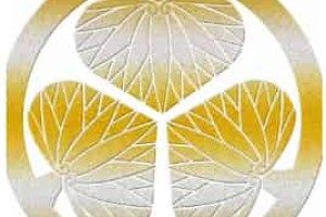 锁国是什么时候，锁国政策 菊江历史网