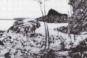 牡丹社事件始末，牡丹社事件发生于哪一年 菊江历史网