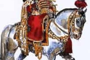 波雅尔 菊江历史网