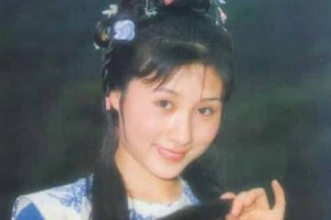 丁岚【新加坡籍女演员，商人】 – 人物百科