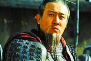 三国时期刘备没有选择招降庞德，原因是什么？_三国历史 菊江历史网