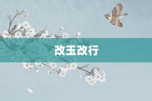 改玉改行【改玉改行的意思】- 成语大全