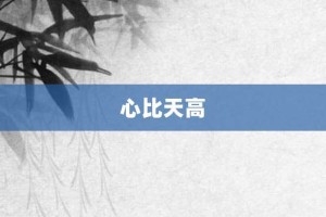 心比天高【心比天高的意思】- 成语大全
