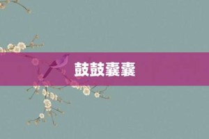 鼓鼓囊囊【鼓鼓囊囊的意思】- 成语大全