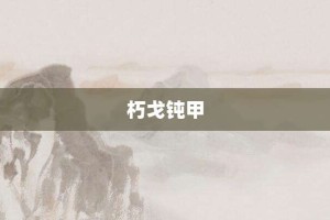 朽戈钝甲【朽戈钝甲的意思】- 成语大全