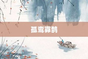 孤鸾寡鹄【孤鸾寡鹄的意思】- 成语大全