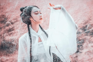 什么叫“贞洁烈女，不容侵犯”？清代的一烈女的传奇故事！_稗官野史 菊江历史网