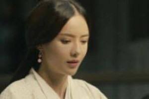 杨仪为什么没能继承诸葛丞相的未知呢？_三国历史 菊江历史网