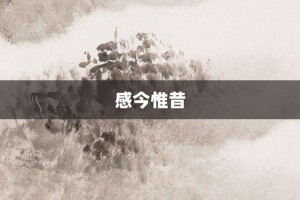感今惟昔【感今惟昔的意思】- 成语大全