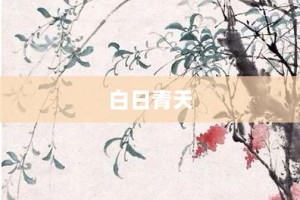 白日青天【白日青天的意思】- 成语大全