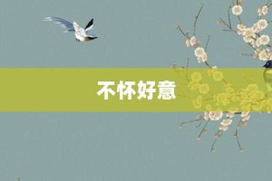 不怀好意【不怀好意的意思】- 成语大全