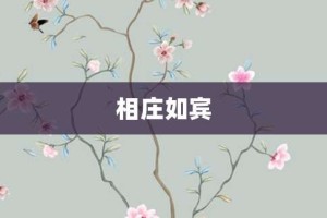 相庄如宾【相庄如宾的意思】- 成语大全