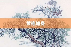 黄袍加身【黄袍加身的意思】- 成语大全