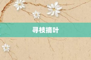 寻枝摘叶【寻枝摘叶的意思】- 成语大全