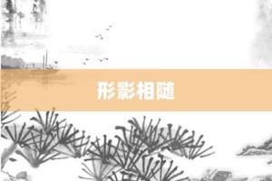 形影相随【形影相随的意思】- 成语大全