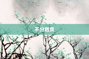 不分胜负【不分胜负的意思】- 成语大全