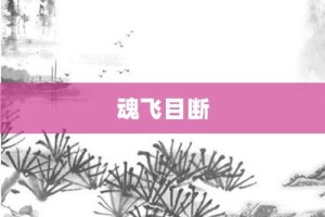 魂飞目断【魂飞目断的意思】- 成语大全