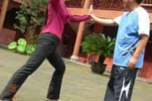 王建强【太极拳第六代传人，著名太极拳教练】 – 人物百科