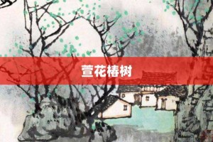 萱花椿树【萱花椿树的意思】- 成语大全