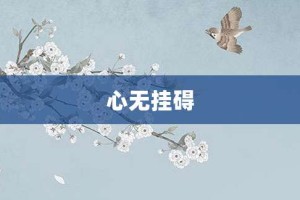 心无挂碍【心无挂碍的意思】- 成语大全