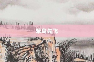 笨鸟先飞【笨鸟先飞的意思】- 成语大全