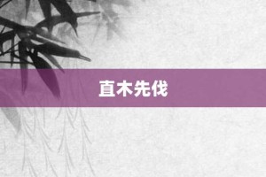 直木先伐【直木先伐的意思】- 成语大全