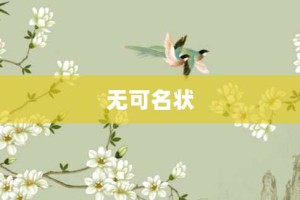 无可名状【无可名状的意思】- 成语大全
