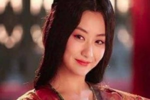 司马炎为什么会让自己的爱妃去给儿子司马衷侍寝？_乡村野史 菊江历史网