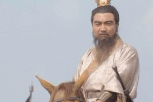 汉中乃是三国必争之地，两次汉中之战的结果如何呢？_古代战争 菊江历史网