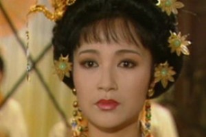 武顺简介_武顺的儿子_武顺的故事_武顺怎么死的 菊江历史网