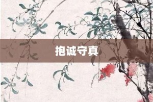 抱诚守真【抱诚守真的意思】- 成语大全