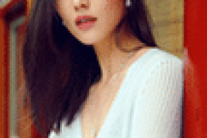 刘雯【中国模特】 – 人物百科