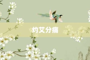 灼艾分痛【灼艾分痛的意思】- 成语大全