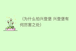 （为什么怕兴登堡 兴登堡有何厉害之处）_世界近代史 菊江历史网