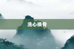 洗心换骨【洗心换骨的意思】- 成语大全