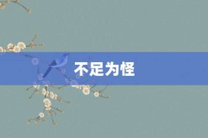不足为怪【不足为怪的意思】- 成语大全