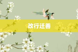 改行迁善【改行迁善的意思】- 成语大全