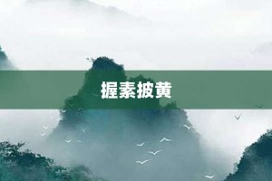 握素披黄【握素披黄的意思】- 成语大全