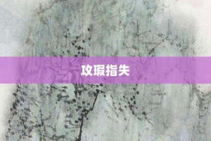 攻瑕指失【攻瑕指失的意思】- 成语大全