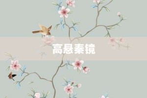 高悬秦镜【高悬秦镜的意思】- 成语大全