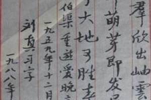 刘真简介_刘真的儿子_刘真的故事_刘真怎么死的 菊江历史网