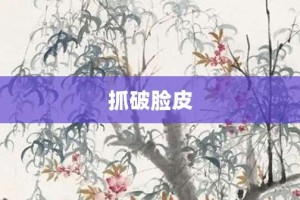 抓破脸皮【抓破脸皮的意思】- 成语大全