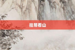 拄笏看山【拄笏看山的意思】- 成语大全