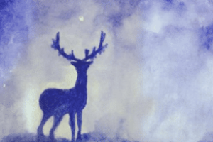 黑姓的起源是什么，黑姓宝宝起名大全！_民俗文化 菊江历史网